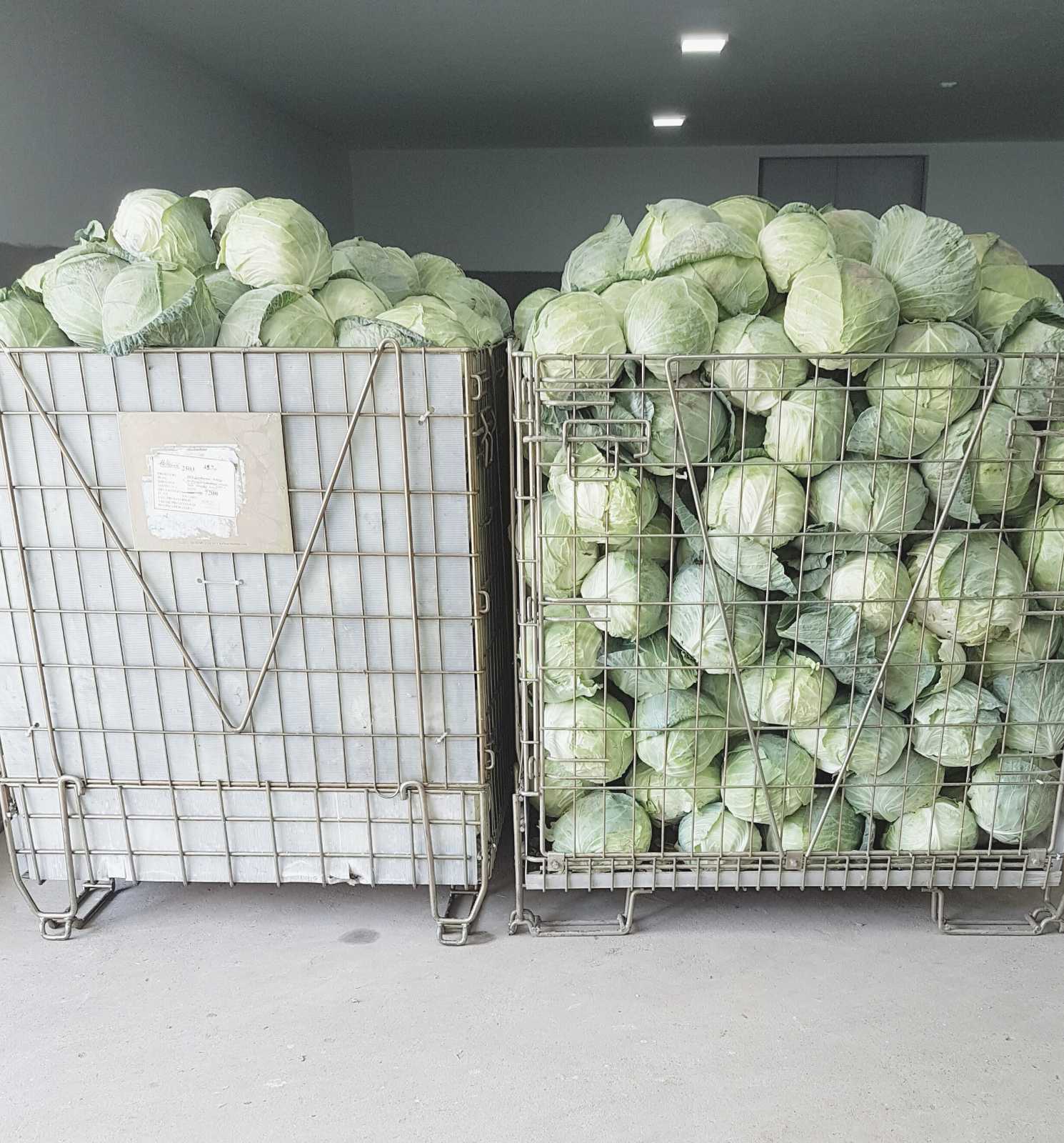 viber_image_2025-09-22_23-03-59-910